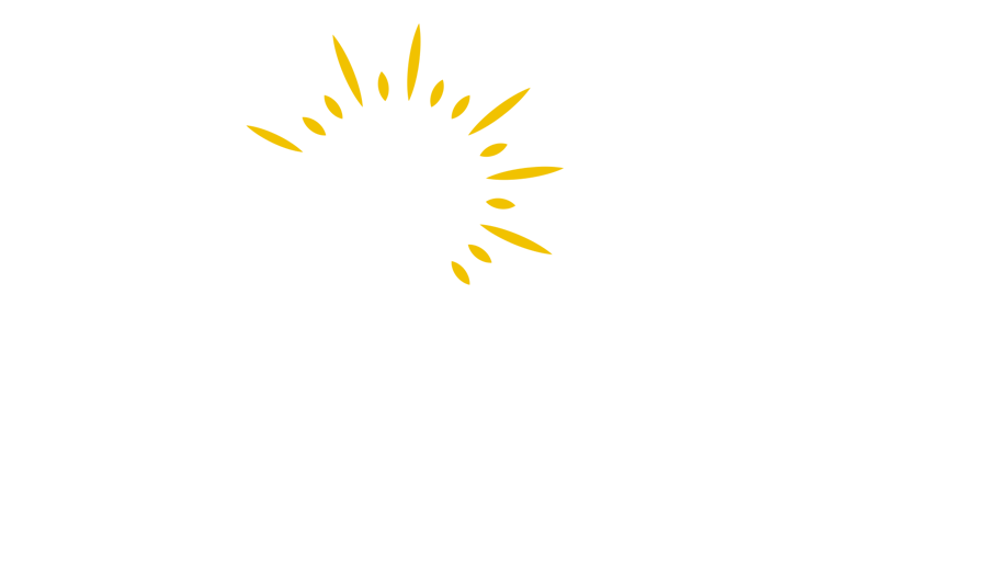 The B Project Foundation
